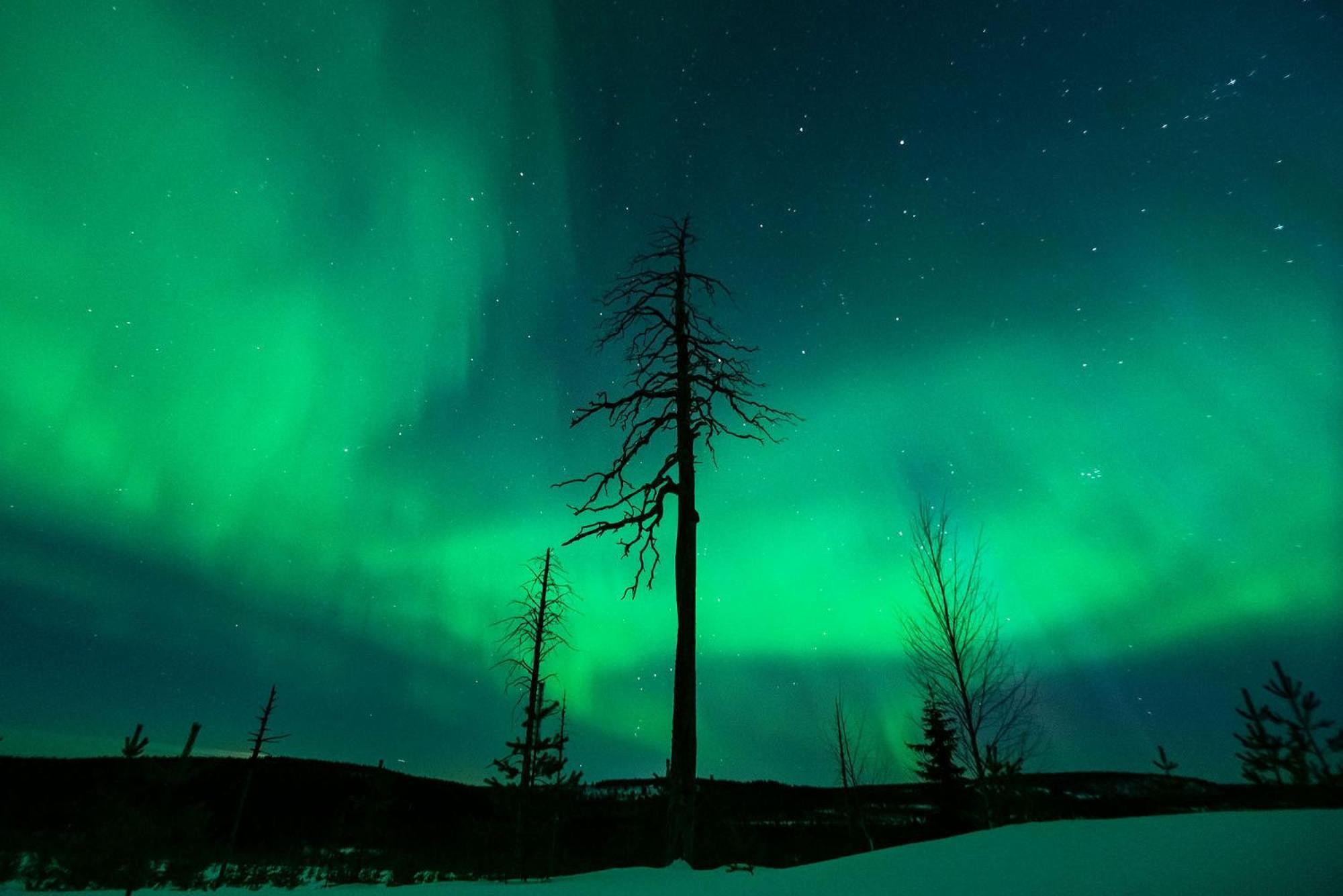 Hotel Napapiirin Jaervilomat Luukonniemi Esterno foto